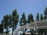 creative_fences_collection_11.jpg