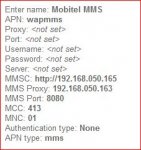 mms.JPG
