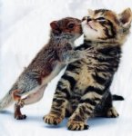 friendly_squirrels_photography_0444.jpg
