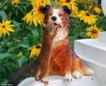 friendly_squirrels_photography_0888.jpg