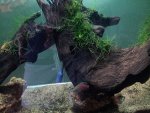 20140605_095303.jpg