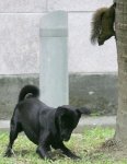 friendly_squirrels_photography_101010.jpg