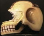 skull-motorcycle-helmet.jpg