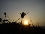 Sunset - SE Xperia mini.jpg