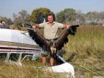 birds_aircrafts_pics_01.jpg