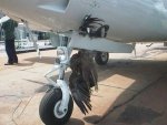 birds_aircrafts_pics_02.jpg