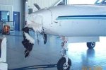 birds_aircrafts_pics_08.jpg