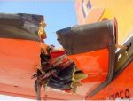 birds_aircrafts_pics_05.jpg