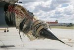 birds_aircrafts_pics_07.jpg