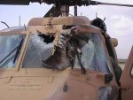 birds_aircrafts_pics_09.jpg