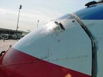 birds_aircrafts_pics_11.jpg