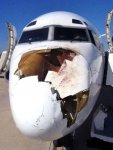 birds_aircrafts_pics_12.jpg
