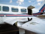 birds_aircrafts_pics_13.jpg