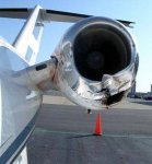 birds_aircrafts_pics_18.jpg