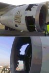 birds_aircrafts_pics_21.jpg