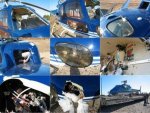 birds_aircrafts_pics_22.jpg