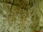 DSC03145.jpg