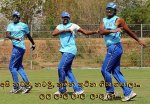 Cricket Dance.jpg