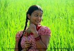 Himali_Siriwardana-srilankanmodels.net-6.jpg