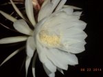 DSC02665.JPG
