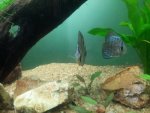 20140625_213943.jpg