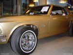 Car_Show_011.jpg