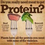 Broccoli vs. Beef .jpg