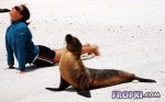 Animals-Fropki-01.jpg