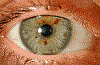 01.gif 01.gif