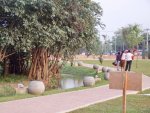Diyawanna+oya+water+front+-+beautiful+Sri+lanka+%252821%2529.JPG