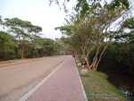 Diyawanna+oya+water+front+-+beautiful+Sri+lanka+%252827%2529.JPG