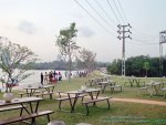 Diyawanna+oya+water+front+-+beautiful+Sri+lanka+%252833%2529.JPG