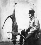 Bagged_thylacine.jpg