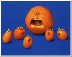 artistic_creations_fruits_09.jpg