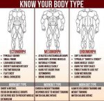 workout physique.jpg