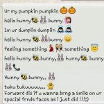 pumpkin.jpg