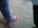 IMG00265-20120226-1750.jpg