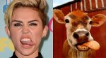 Thing-Look-Like-Miley-Cyrus-3.jpg