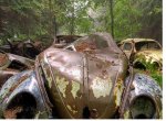 This Traffic Jam Was Stuck In Belgian Forest For 70 Years!!!.jpg