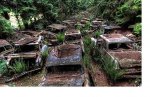 This Traffic Jam Was Stuck In Belgian Forest For 70 Years!!.jpg