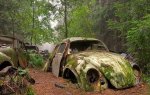 This Traffic Jam Was Stuck In Belgian Forest For 70 Years!.jpg