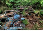 This Traffic Jam Was Stuck In Belgian Forest For 70 Years,!.jpg