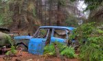 This Traffic Jam Was Stuck In Belgian Forest For 70 Years..!.jpg