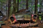 This Traffic Jam Was Stuck In Belgian Forest For 70 Years...!.jpg
