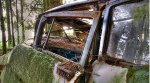 This Traffic Jam Was Stuck In Belgian Forest For 70 Years....jpg