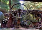 This Traffic Jam Was Stuck In Belgian Forest For 70 Years...jpg