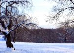 20131207_155938.jpg