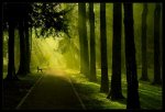 Amazing Natural Images_3.jpg