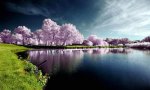 amazing,nature-e4721fcebdbf532055df48c92e9096f4_h.jpg