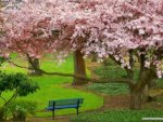 amazing_nature_99-480x360.jpg